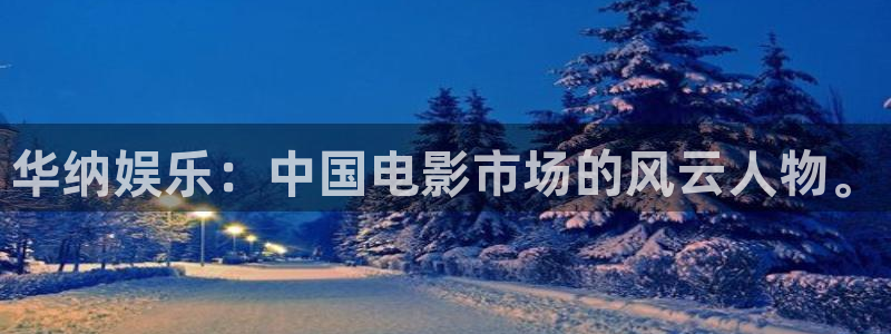 赢咖4星辉娱乐官网