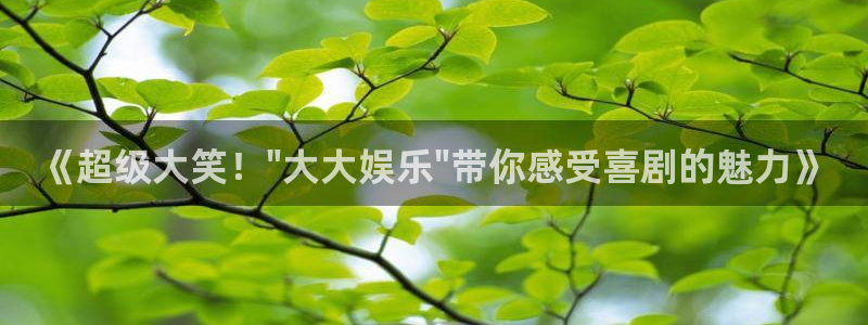 赢咖