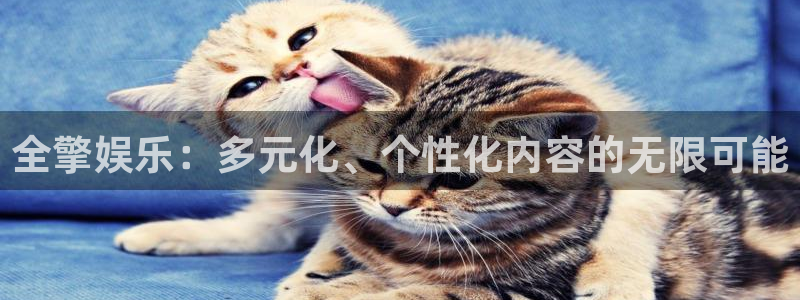 赢咖维护