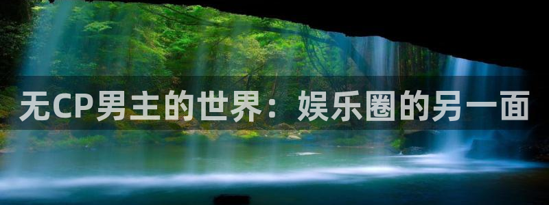 赢咖总代