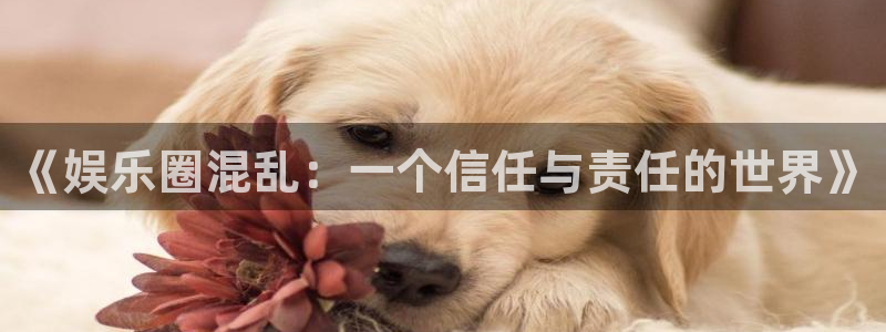 赢咖8